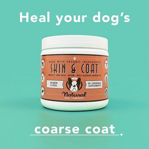 Did you know that the condition of your pup’s skin & coat impacts their OVERALL health?  Now is the time to be proactive and treat your pet’s skin issues from the inside out! | Natural Dog Company | Facebook