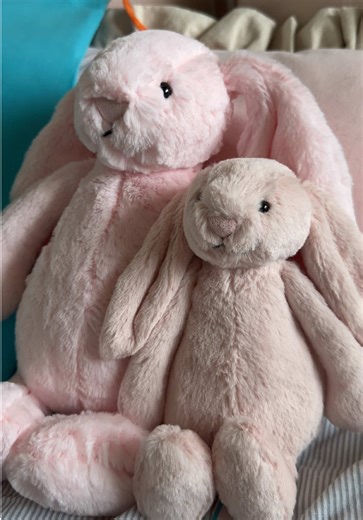 Today’s #jellycat delivery !! Pink bashful bunny blush bashful bunny (small) came back into stock so I just had to grab them! Can’t wait for the new Feb releases to come out!!