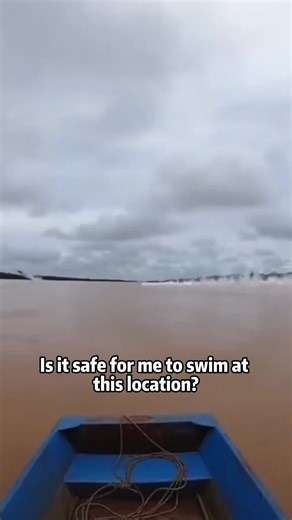 Would you dare to go swimming?#science #popular #usa #swimming