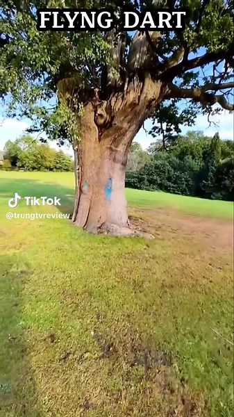 TRUNGTV REVIEW trên TikTok