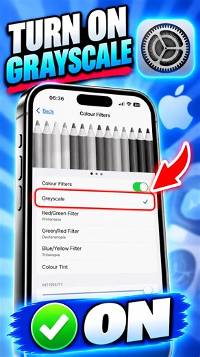 How to Make Your iPhone Black and White (Grayscale) | iPhone Display Settings