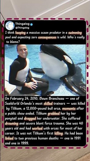 The Dark Story Of The World’s Most DANGEROUS Orca! 🐋 #History #Wildlife #Ocean