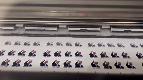 100 pc 1 Inch I did that Trump Sticker Pack, Anti Trump Stickers, Trump I did that Looking at Eclipse Meme Sticker Anti Fascist Anti Racist Sticker (100)