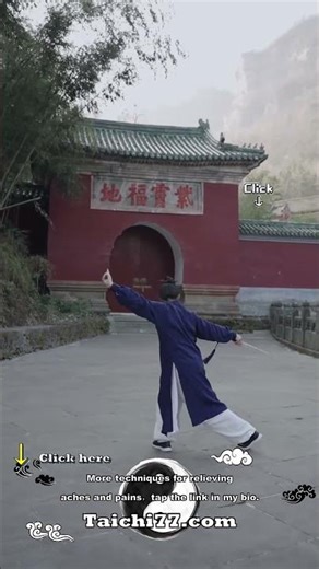 Wudang Taiyi xuanmen sword teaching (3) #relievestress #health #taichi