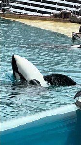 Keet at SeaWorld San Diego