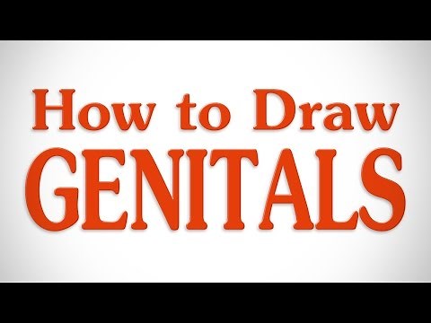 How to Draw Genitals