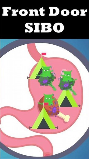 How To Stop SIBO From Returning For Good