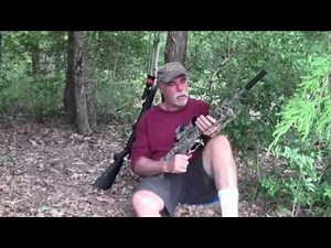 M&P 15-22 with AAC Element 2 Suppressor