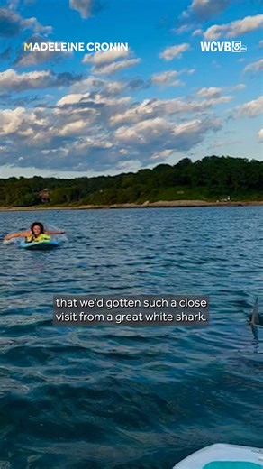'Oh my goodness, that's a shark." A friend captured the moment Margaret Bowles spotted the fin of a great white shark while the two were paddleboarding off the coast of Cape Cod on July 4. More from the encounter: https://www.wcvb.com/article/paddleboarder-great-white-shark-woods-hole-cape-cod-massachusetts/65336783 * * * #capecod #WoodsHole #Massachusetts #NewEngland #shark #greatwhiteshark #greatwhite #capecodshark | WCVB Channel 5 Boston