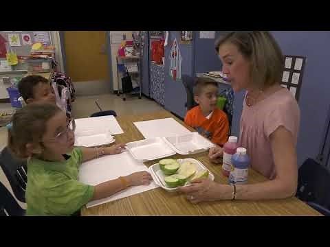 Video 4: Play-Based Interactions With Teacher Guidance (REL Southeast) (REL Southeast)