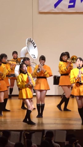 Kyoto Tachibana SHS Band - Japan 2016 Marching Performance