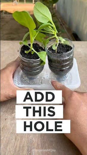 Smart Watering Hack! Add a Small Hole for Easy Bottom Watering