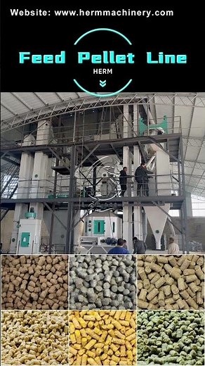 How to Produce 5-7 Tons of Animal Feed Per Hour – Full Feed Line Solution! #feedpelletmills
