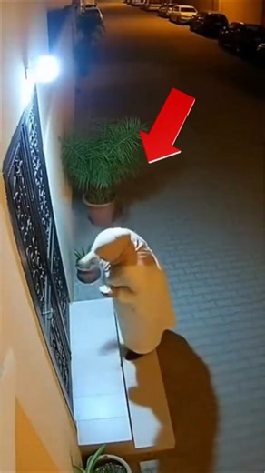 امراه ترش حاجه غريبه قدام لمنزل 😱😱#shorts