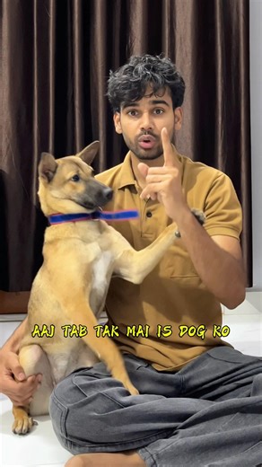 Training my dog like a pro || PART 2||