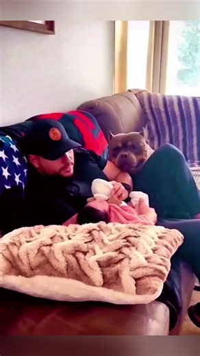 Funny Baby and Dog Stories That Melt Hearts