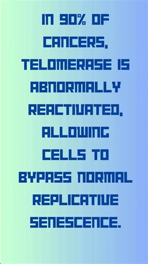 TERT Telomerase Reverse Transcriptase
