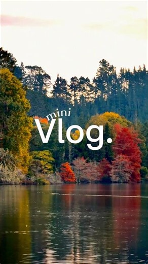 🌊🇳🇿5th LARGEST City Of New Zealand | TAURANGA