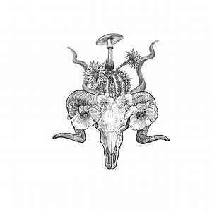 Banshee Tree Concert & Tour History (Updated for 2026) | Concert Archives