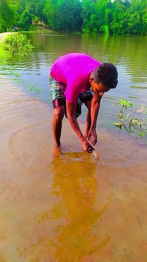 D 1212 (@delwer485537)’s videos with original sound - D 1212