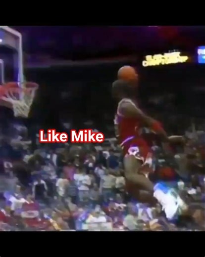 Like Mike #basketball #michealjordan #mvp #winnee #animal #winner