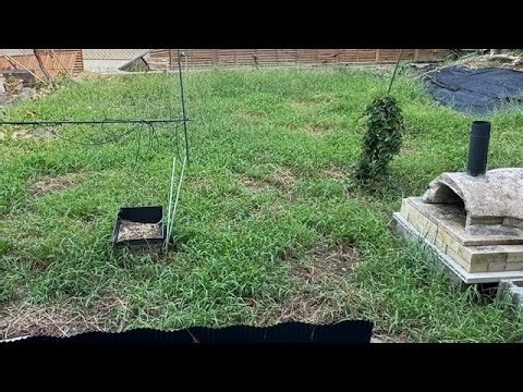 お庭でバーベキュー