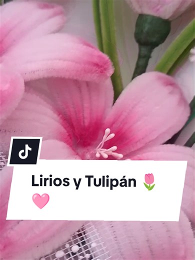 Videos de Creaciones Lia Bonita 🦋💐 (@creaciones_lia_bonita) con “Love Story -