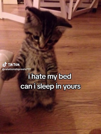 Navigating Relationships: Can I Sleep in Your Bed?