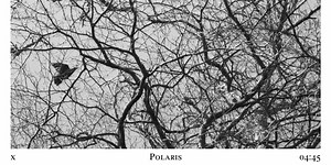 Damon Albarn Releases New Track 'Polaris'