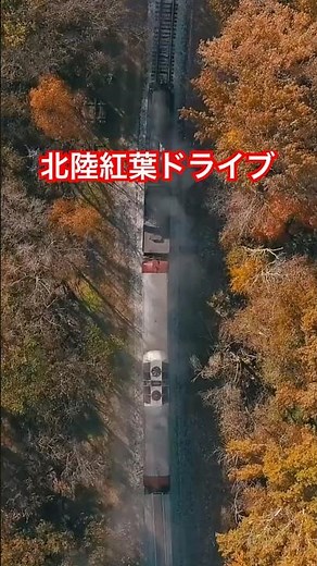 秋に行きたい北陸3選！紅葉と歴史を楽しむドライブコース #北陸ドライブ #紅葉スポット #永平寺 #白山比咩神社 #勝興寺 #寺社巡り #秋の旅行 #パワースポット VOICEVOX:青山龍星