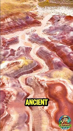 Utah’s Rainbow Mountains? The Bentonite Hills Explained. #utah #nationalparks #geology
