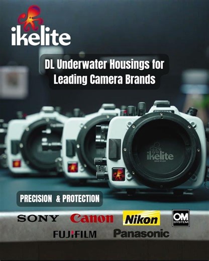Ikelite DL Underwater Housings for Sony, Canon, Nikon, OM-System & More