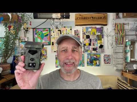 Suntek Mini 700 Trail Camera Review and Footage