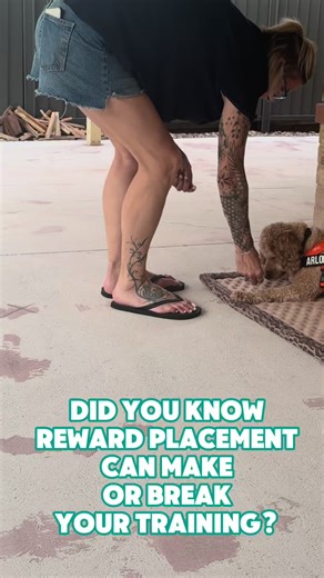 Mat training (station training) looks simple… but the real lesson is often in the mechanics. Most people focus on what they reward: “Great, my dog went to the mat.” 💡But with mat/station work, where you place the reward is what teaches your dog how to be there. 👉Because reward placement shapes posture, arousal, and what your dog offers next. Here are a few options (and what they build): ➡️Reward low, between the paws Encourages a genuine downshift: softer body, slower breathing, more settling.