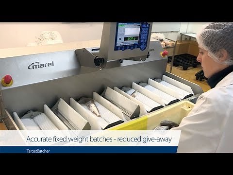 TargetBatcher – Accurate fixed weight batches