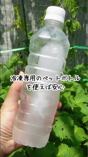 冷凍ペットボトル、実は危険⁉正しい凍らせ方、知ってる？ #雑学 #プチ知識 #一分でわかる#ペットボトル