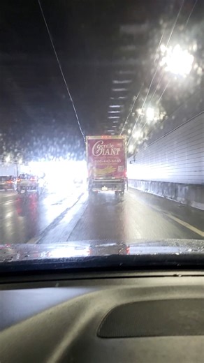 Giant spotting 👀 on the Zakim Bridge, Boston 📍#movingday #Movers | Gentle Giant Moving Company