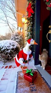 When a Goose Plays Secret Santa… With Explosions 😂🎄