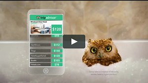 TripAdvisor TV Commercial, 'Early Bird'