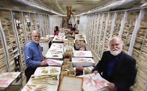 【博物馆营销】美最大博物馆群Smithsonian Instituion免费开放存取280万高清图档