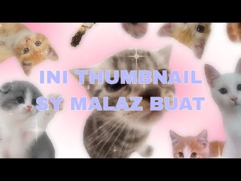 【IME_RP】Day 7 hidup bersama bellia ANGJAY #imerp #imeroleplay #gtarp #gtaroleplayserverindonesia