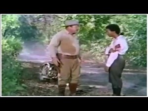 The Learning Tree 1969