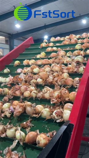 Fruit process machinery on Instagram: "Want perfectly sorted onions? 🧅 Our grader delivers: ✅ Fast sorting ✅ Consistent size ✅ Higher value Try it today! 😊Get Price: media@fruitprocess.com 💡 Learn more: https://www.fstsortmachine.com/...//fruitprocess.com/en-us #Onion#OnionSorting #GradingMachine #OnionSorter #OnionGrading #OnionProcessing #FarmTech #FoodGrading #OnionFarm #AgriTech #FoodTech #Agriculture"