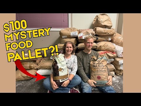 👉 We Bought a $100 Mystery Food Pallet — You Won’t Believe What We Got!