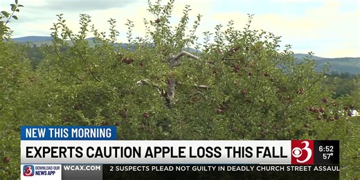 Prime-time apple picking season starts earlier this year