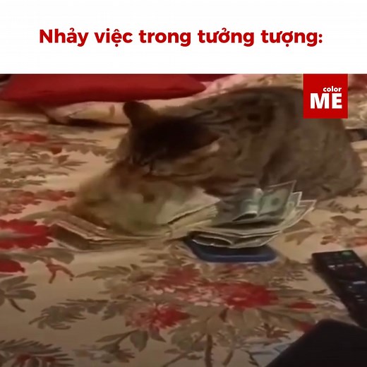 314K views · 5.6K reactions | Trung bình mỗi lần nhảy việc :(凉濫鹿 | Color ME | Facebook