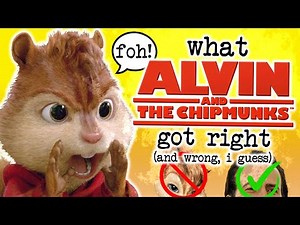 What The CHIPMUNKS Movies Got Right