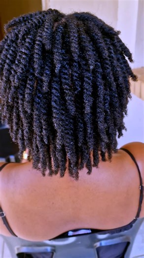 Ultimate Guide to Mini Twists for Natural Hair