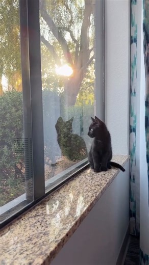 Abram Engle on Instagram: "best hotel ever?"