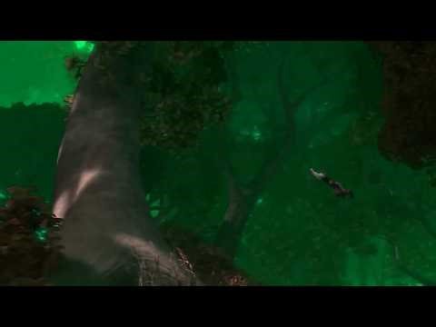 Flynn Rider’s Narrowest Escape (Extreme Tree Swing) Tangled Sponsored By Gamavision Csupo Effects